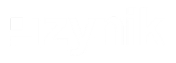 Zynik Private Equity Logo White